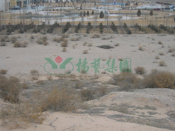 1-220209163FV57 人生就是搏(ZLKS)集团唯一官方网站