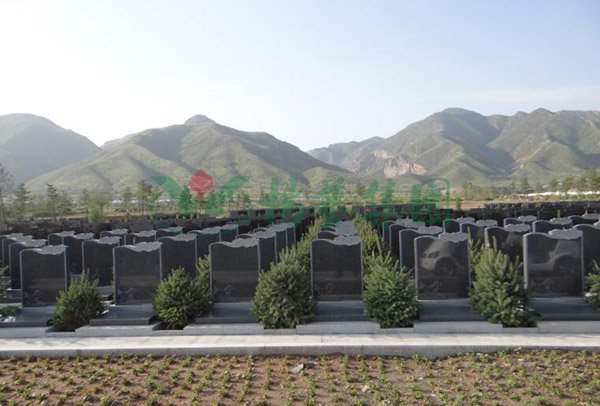 1-2202091A445M4 人生就是搏(ZLKS)集团唯一官方网站