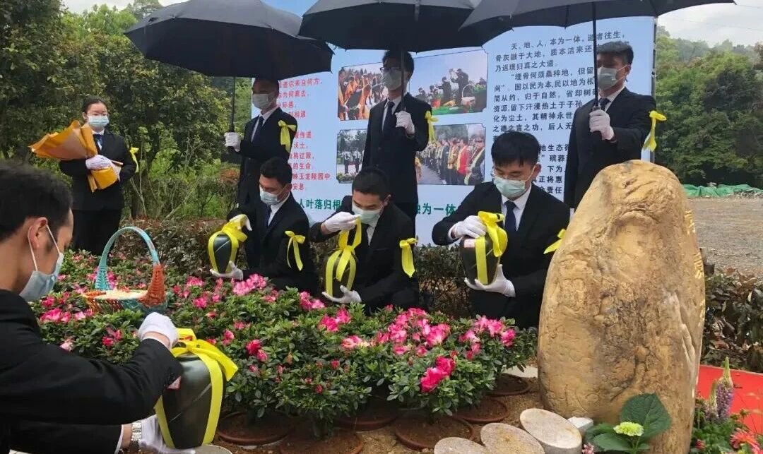 1-2510291356112C 人生就是搏(ZLKS)集团唯一官方网站