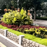 无机仿真石花箱：以永恒之名，塑未来之境